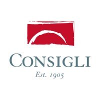 consigli_construction_logo